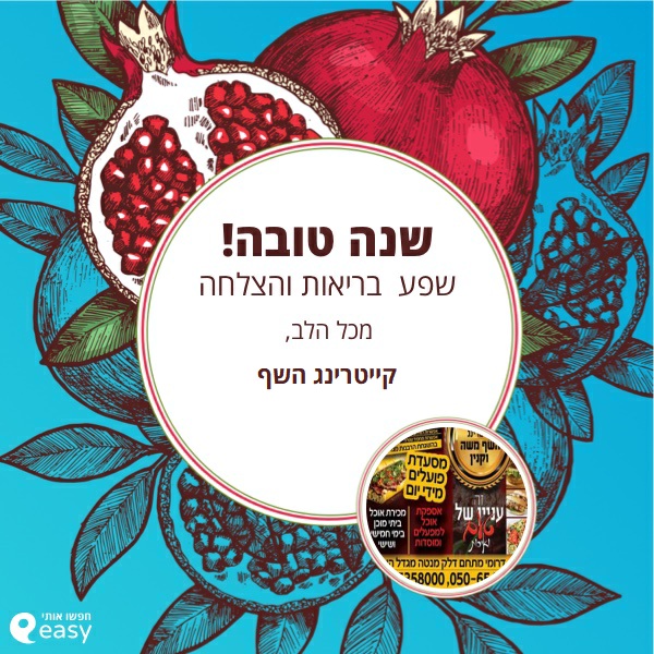 אלי